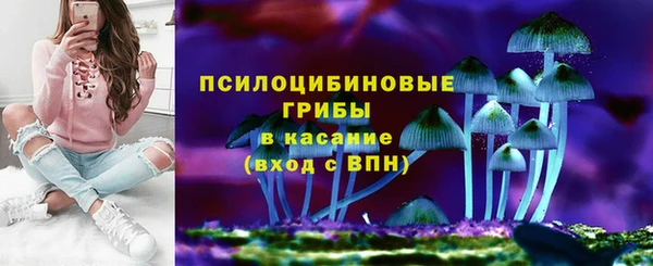 а пвп мука Лиски