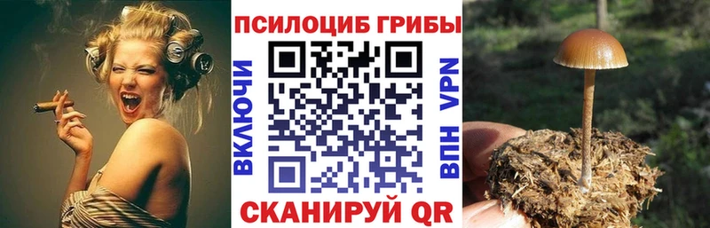 Купить где  Жуковка  Галлюциногенные грибы прущие грибы 